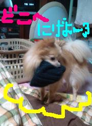 どこにげよー.JPG
