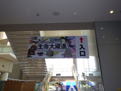 大阪市立自然史博物館：特別展 生命大躍進 脊椎動物のたどった道