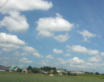 雲