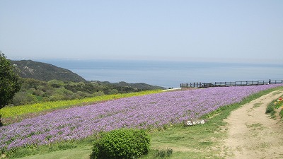 IMG_6508.jpg