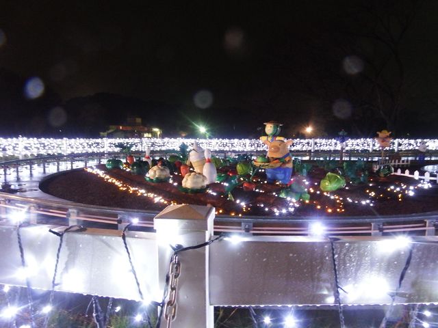 DSCF3335.JPG