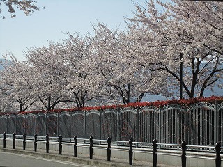 IMG_5970.jpg