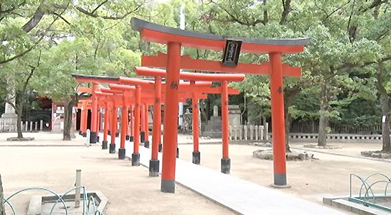 湊川神社 楠公会館での結婚式撮影 14年10月撮影 1 Wedding Kiss Blog Mix 楽天ブログ