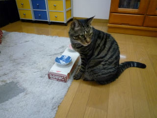20120327g.jpg