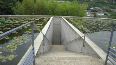 IMG_7898.jpg