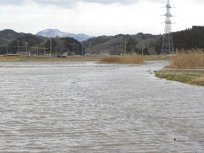 DSCN7545.jpg