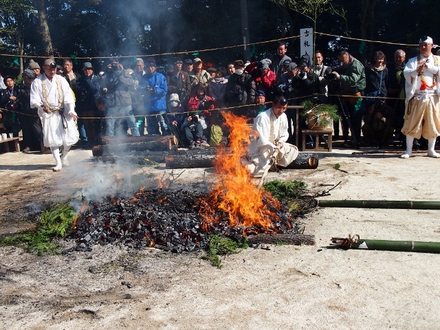 P2156287 (640x480).jpg