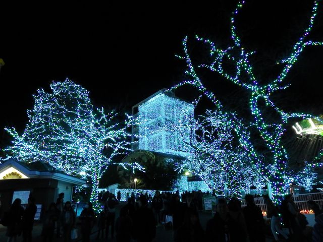DSCF3553.JPG