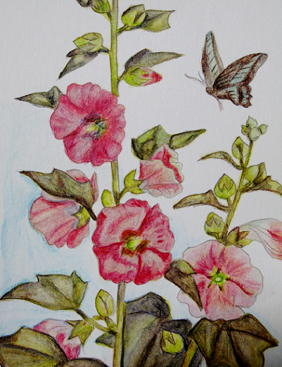 水彩塗り絵 立葵 うずまき月子の庭 ２ 楽天ブログ