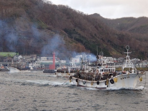 イカ釣り船 １５時出港 羅臼ゲストハウス 旅人の宿 とおまわり ななめブログ 楽天ブログ