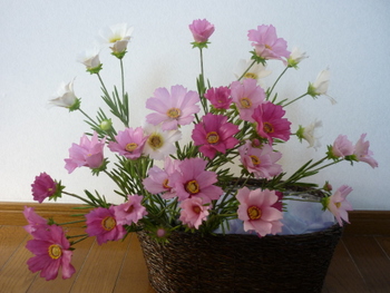コスモスの花（樹脂粘土） | まァーちゃん♪の陽だまり - 楽天ブログ
