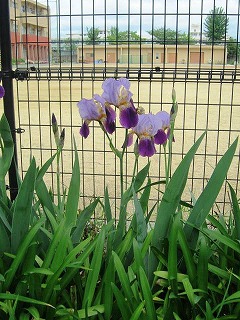 IMG_6805.jpg