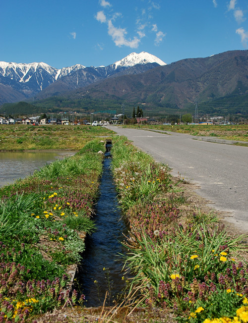 春の小川 フォト安次郎・安らぎの風景 楽天ブログ