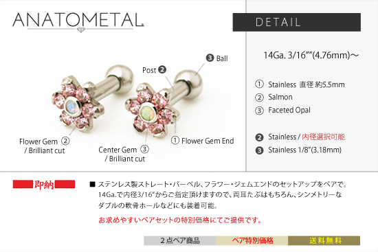ANATOMETAL・アナトメタル即納品のご紹介 |  backroom 214 - 楽天ブログ