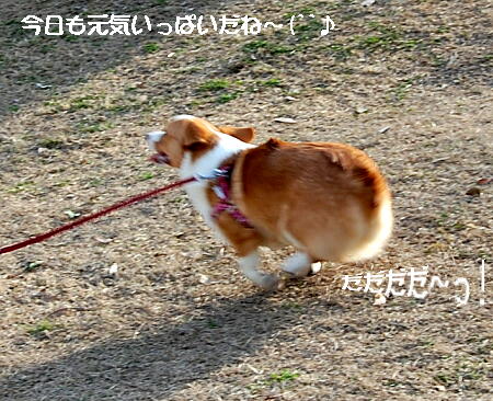 032103.jpg