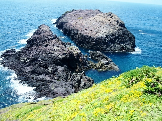 P6264442 (640x480).jpg