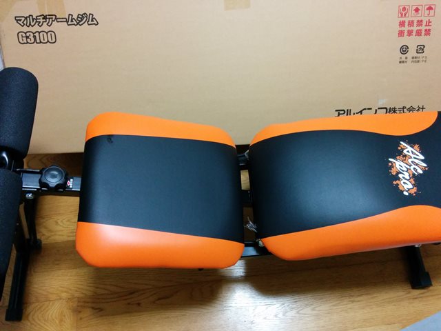 ALINCO(アルインコ) マルチアームジム G3100 ALINCO(アルインコ) マルチアームジム G3100の通販 by SDGs's