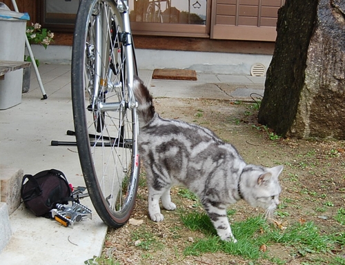 DSC_0014.JPG