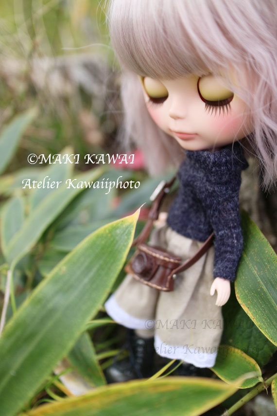 秋色ブライス | Doll Snaps - 楽天ブログ
