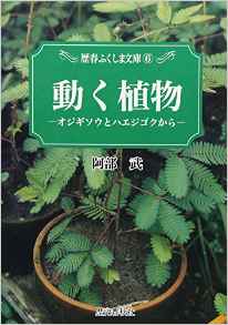 娘の自由研究 Capriciousday 楽天ブログ