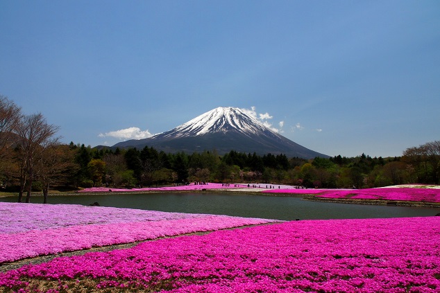 2021新商品 ✨龍神と富士山と海✨金とピンク✨ biomagnasa.com