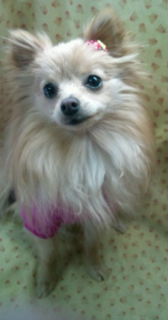 2012-03-03 10:05:20