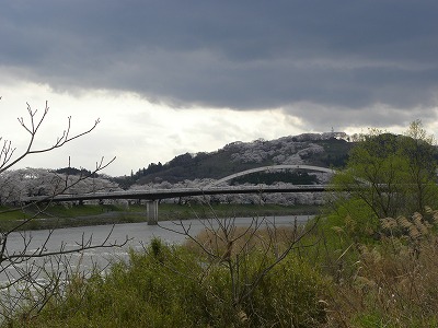 DSCN8182.jpg
