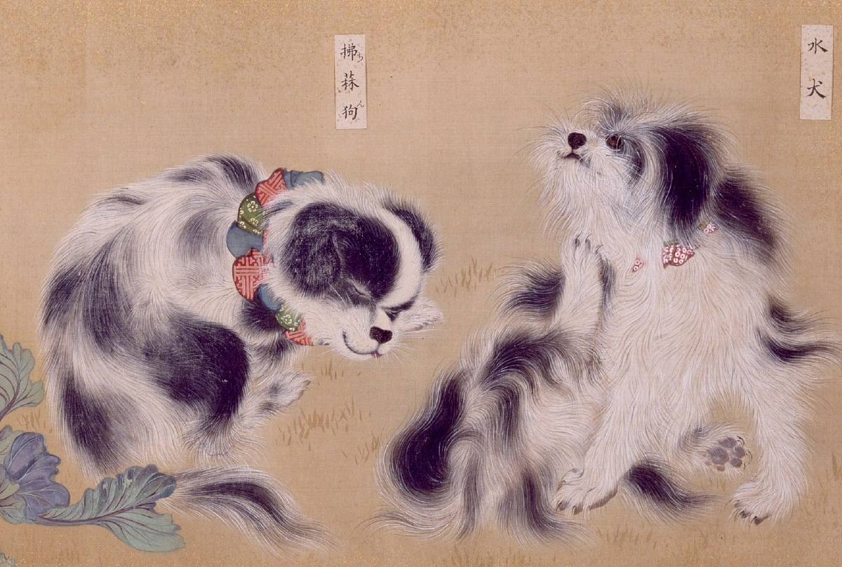 円山四条派 山元春挙 春挙 狆の図 犬絵 犬の絵 掛軸 日本画 - 美術品