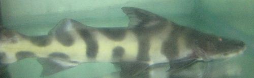 IMG_0841_R.JPG