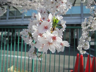 IMG_5963.jpg
