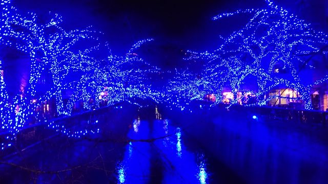 2014-12-06 17.27.21.jpg
