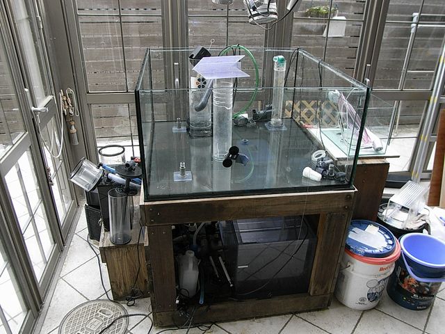 RIMG0456.JPG