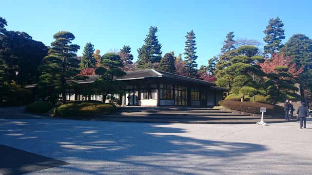 2014-12-06 13.01.31.jpg