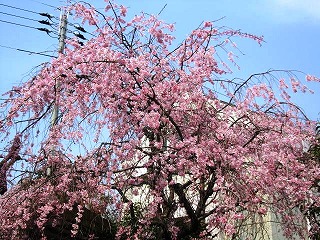 IMG_5777.jpg