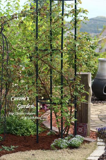 花壇作りと 手作り支柱 Corone S Garden 楽天ブログ
