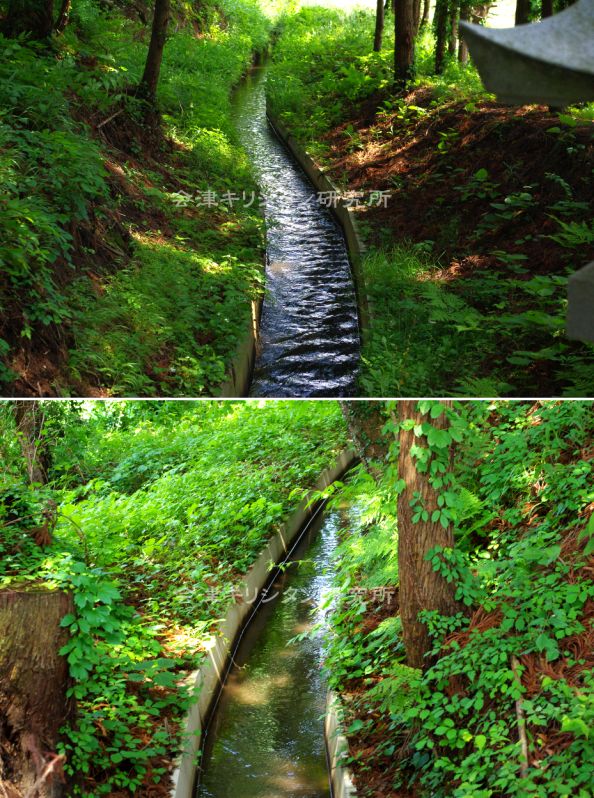 会津のとある村の堰 会津キリシタン研究所 楽天ブログ