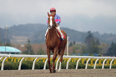 メイセイオペラの思い出（その3） | 地方競馬の楽天競馬｜日替わりライターブログ - 楽天ブログ