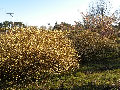 DSCN8116.jpg