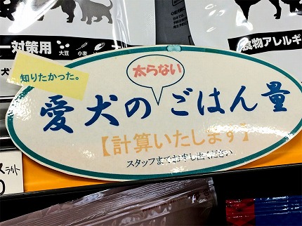 2015.6.17-2.jpg