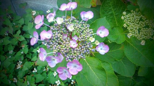 rblog-20160612231618-02.jpg