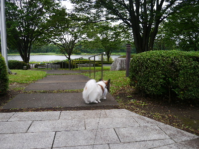 2012昭和記念公園2.JPG
