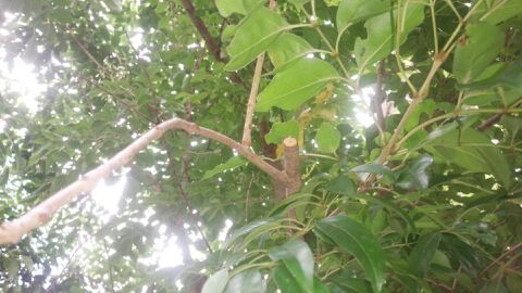 rblog-20140830133053-01.jpg