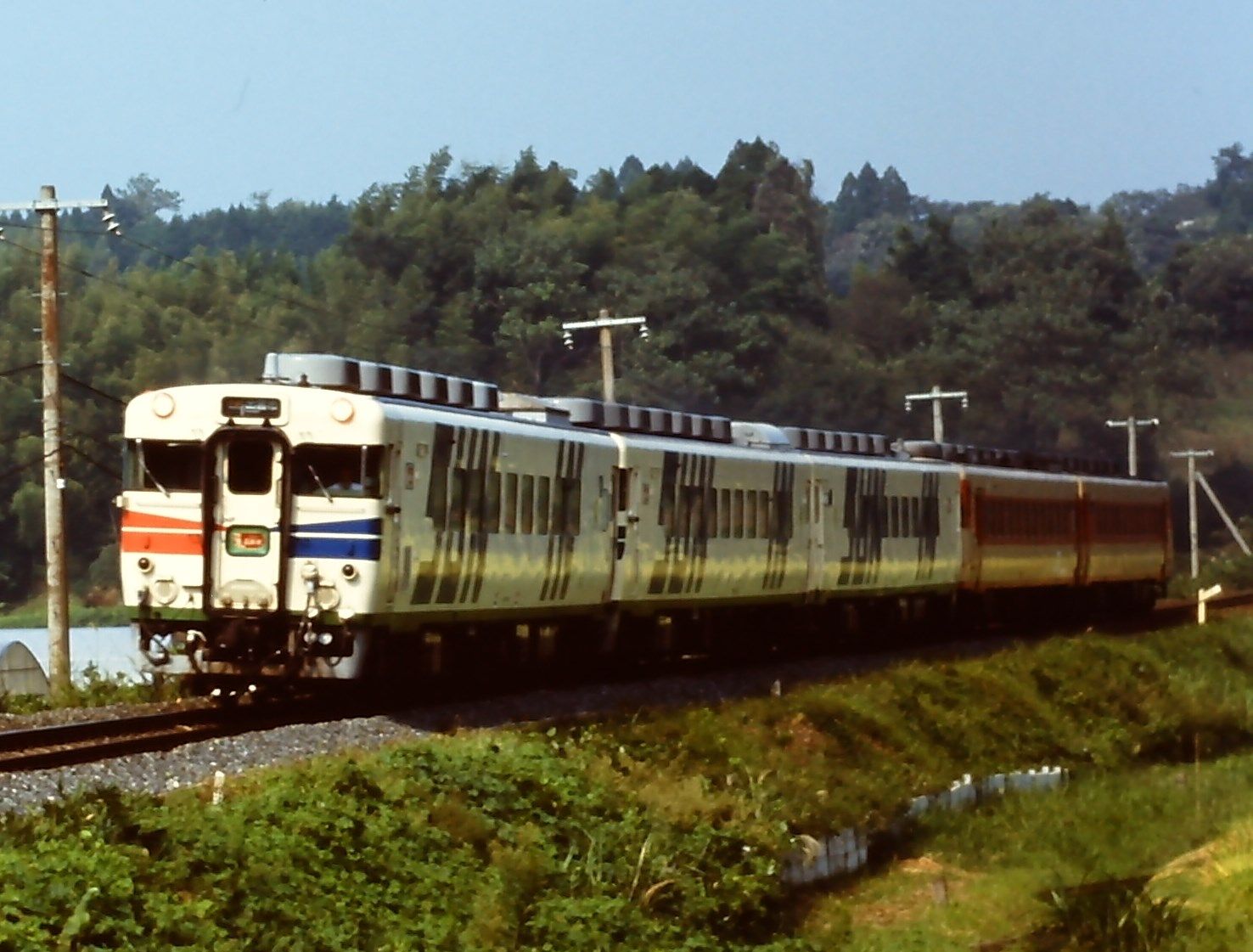 快速 新潟•信州DCリレー号 十日町↔︎長岡/長岡⇔新潟 鉄道
