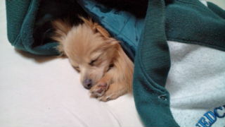 2012-04-01 22:39:32