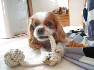 DSCN1612.jpg