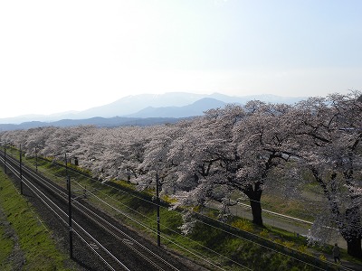 DSCN8147.jpg