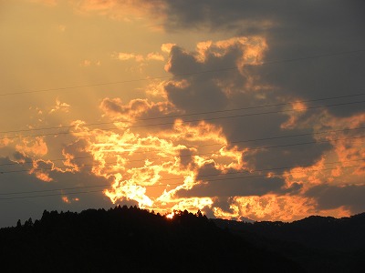 DSCN9742.jpg