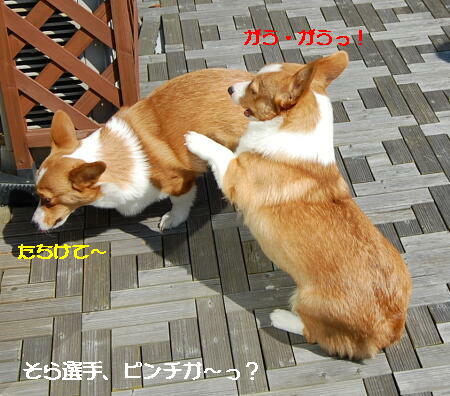 031305.jpg