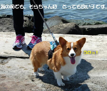 0403032.jpg
