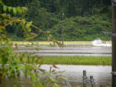 DSCN9320.jpg